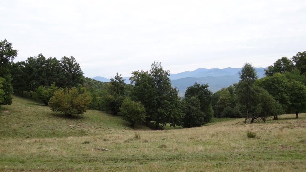 Біла Церква з panoramio.com - Біла Церква