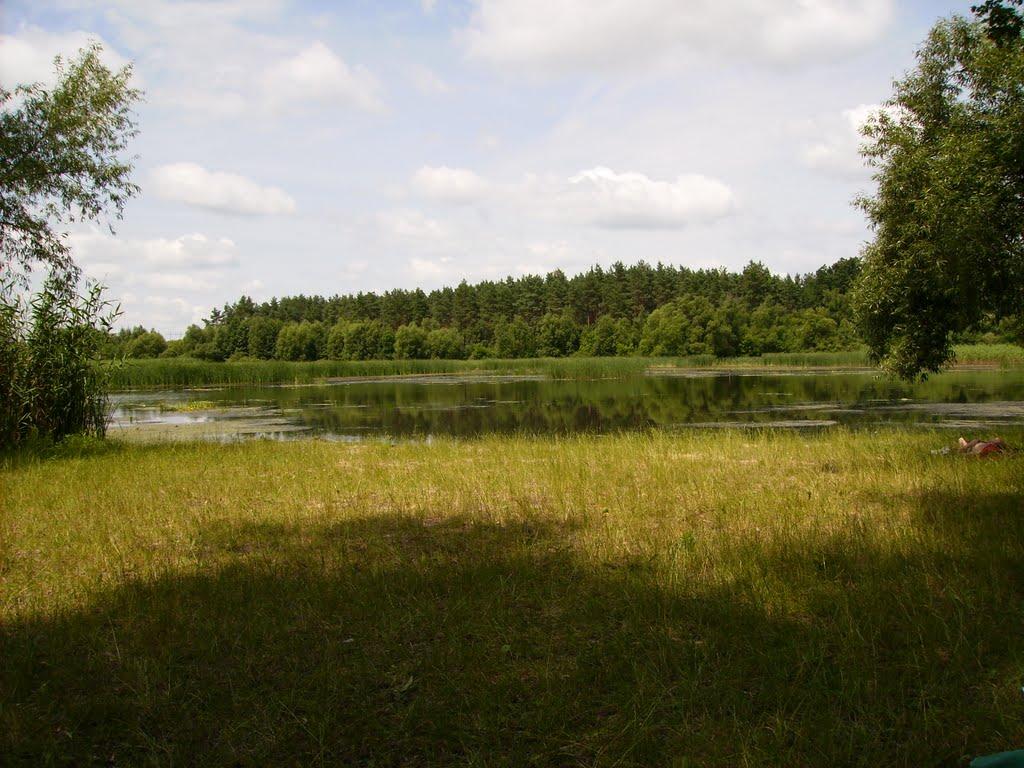 Скалева з panoramio.com - Скалева