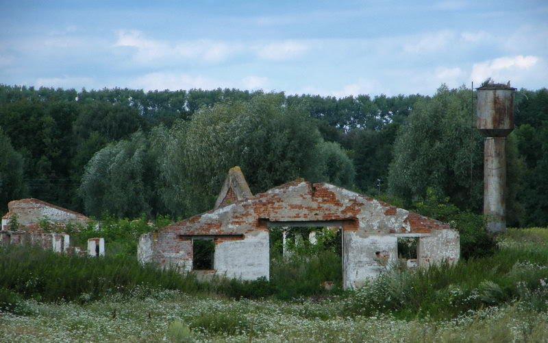 Любеч з panoramio.com - Lyubech