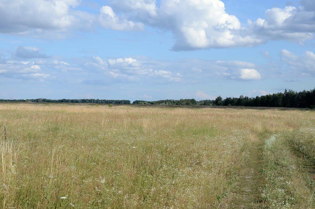 Петрівське з panoramio.com - Петрівське