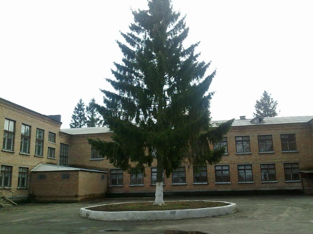 Устимівка з panoramio.com - Устимовка