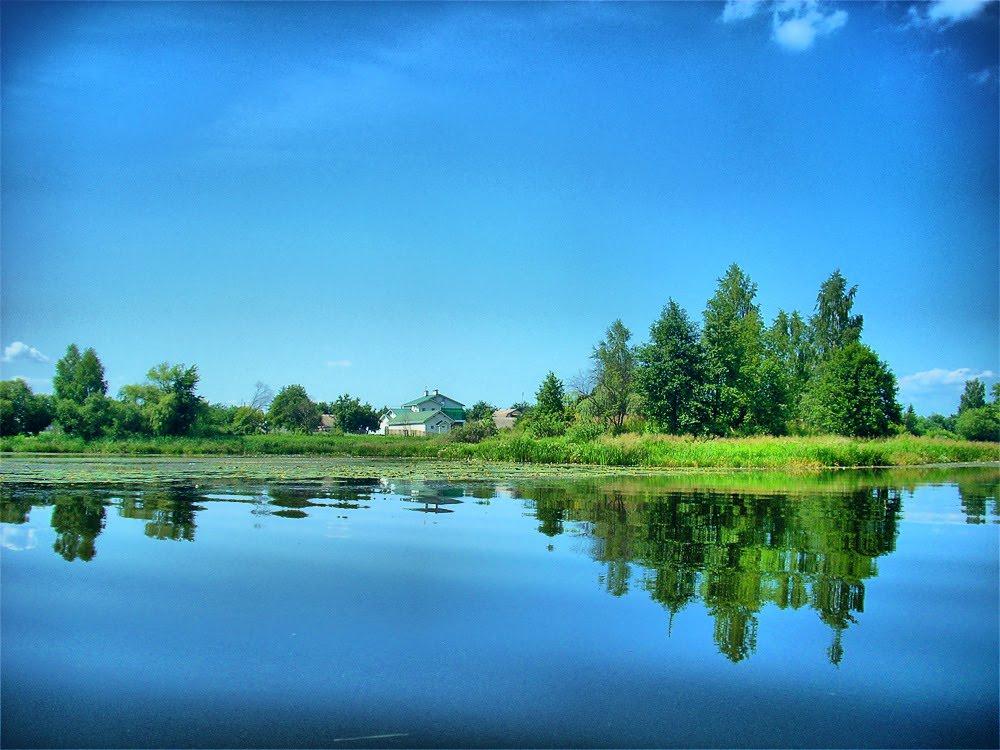 Поліське з panoramio.com - Поліське