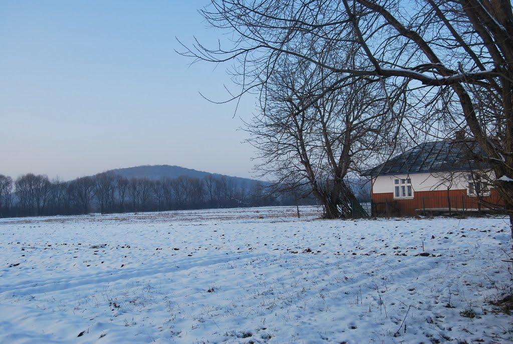 Фітьків з panoramio.com - Фітьків