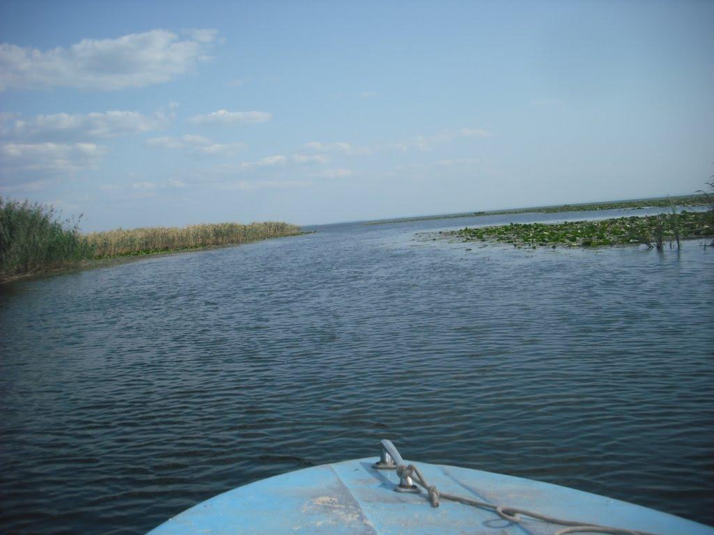 Канівське з panoramio.com - Каневское