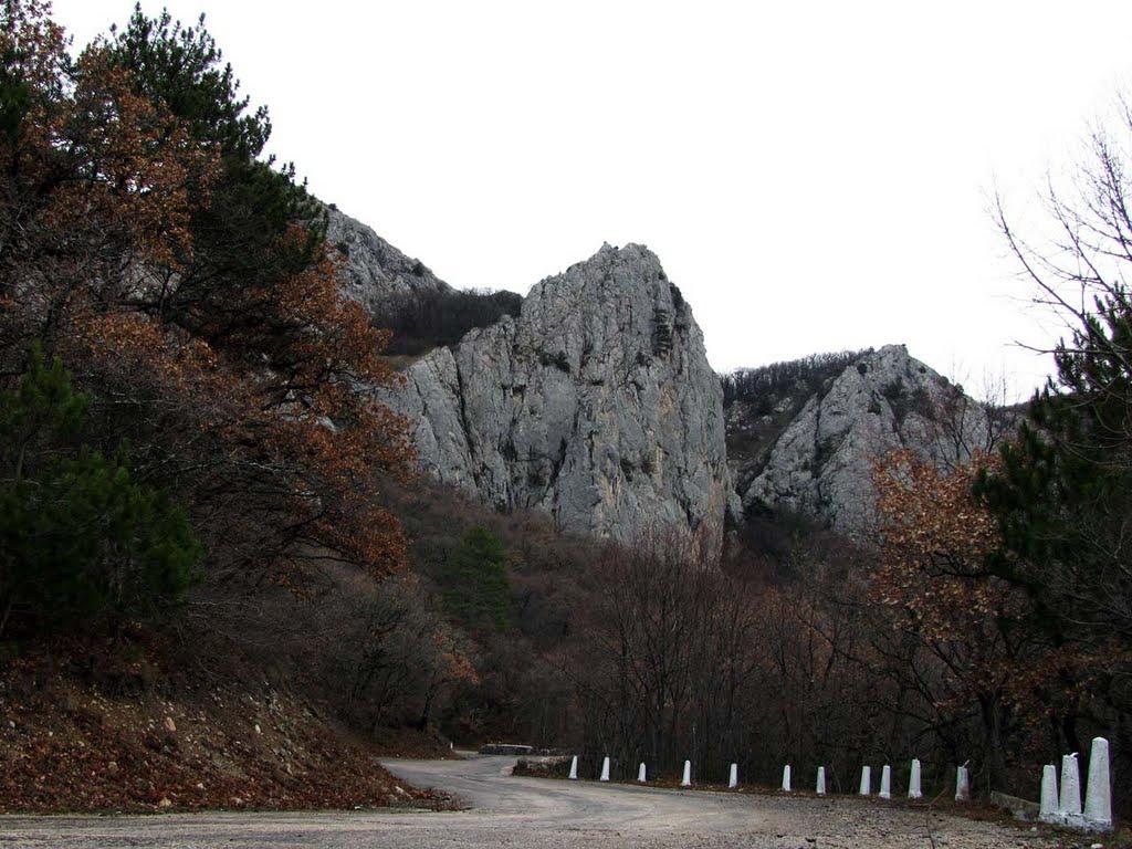 Олива з panoramio.com - Olyva