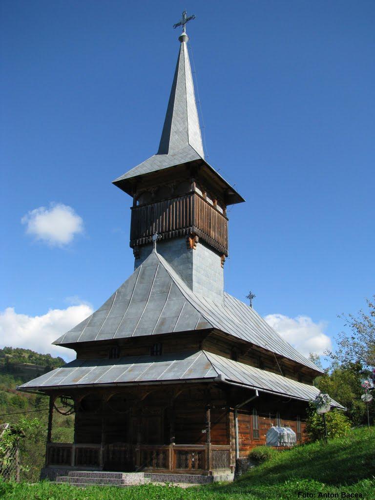 Великий Бичків з panoramio.com - Великий Бичків