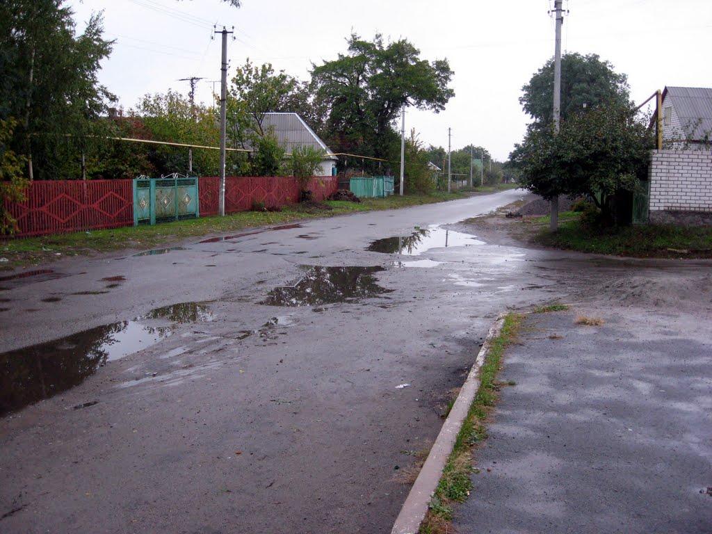 Білецьківка з panoramio.com - Білецьківка