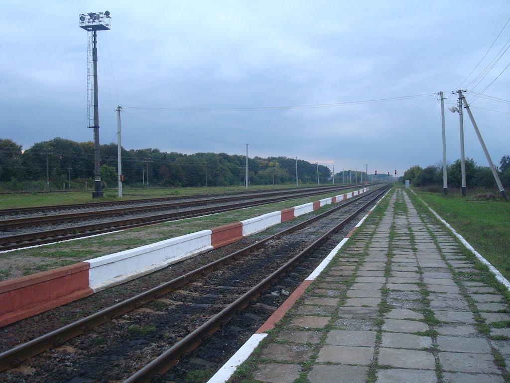 Веснянка з panoramio.com - Веснянка