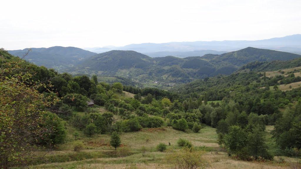 Великий Бичків з panoramio.com - Великий Бичків