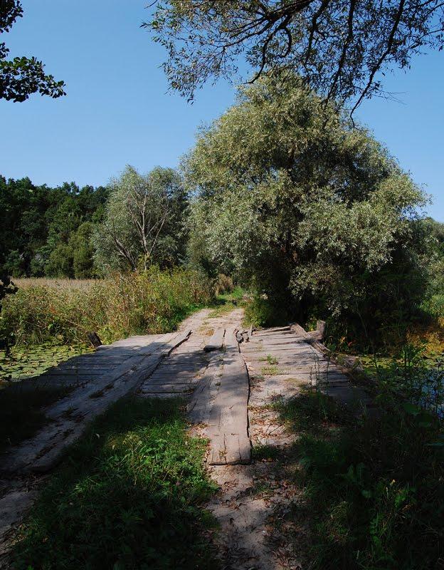 Суха Гомільша з panoramio.com - Сухая Гомольша