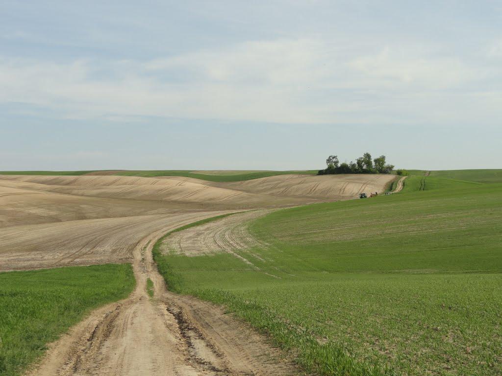 Буяни з panoramio.com - Буяни