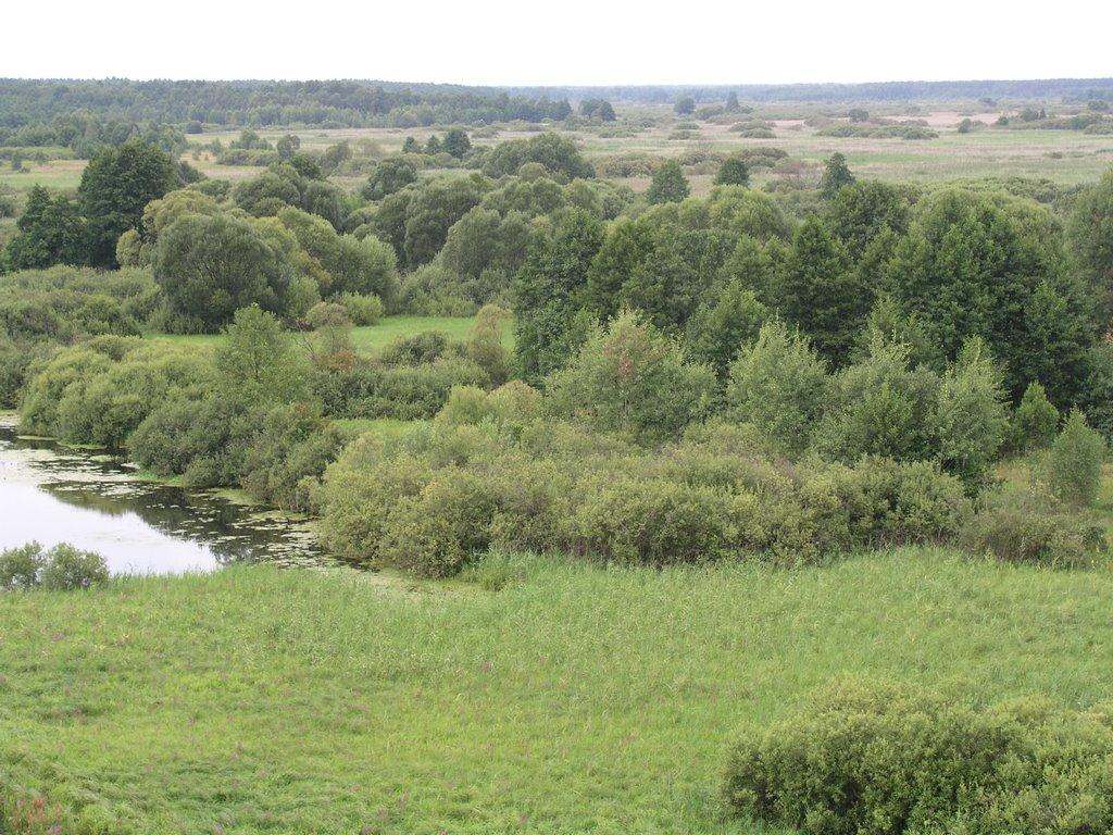 Заячівка з panoramio.com - Заячівка