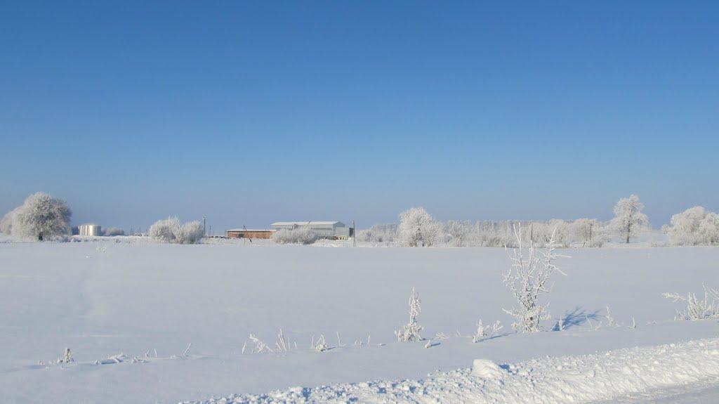 Химрич з panoramio.com - Химрич