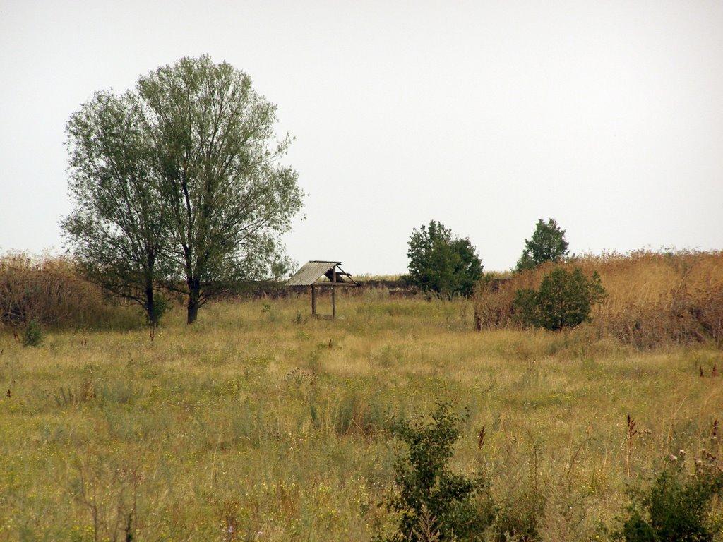 Пасицели з panoramio.com - Пасицели