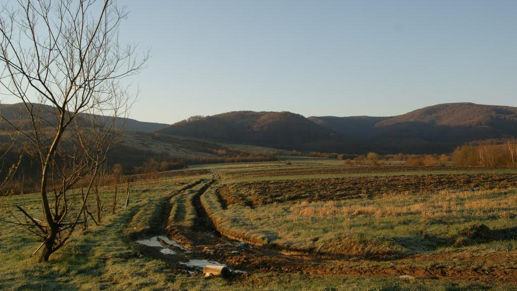 Тур'я Бистра з panoramio.com - Тур'я Бистра