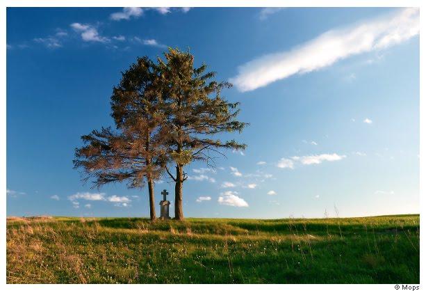 Ушня з panoramio.com - Ушня