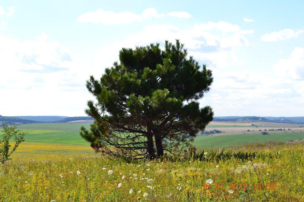 Покровка з panoramio.com - Pokrovka