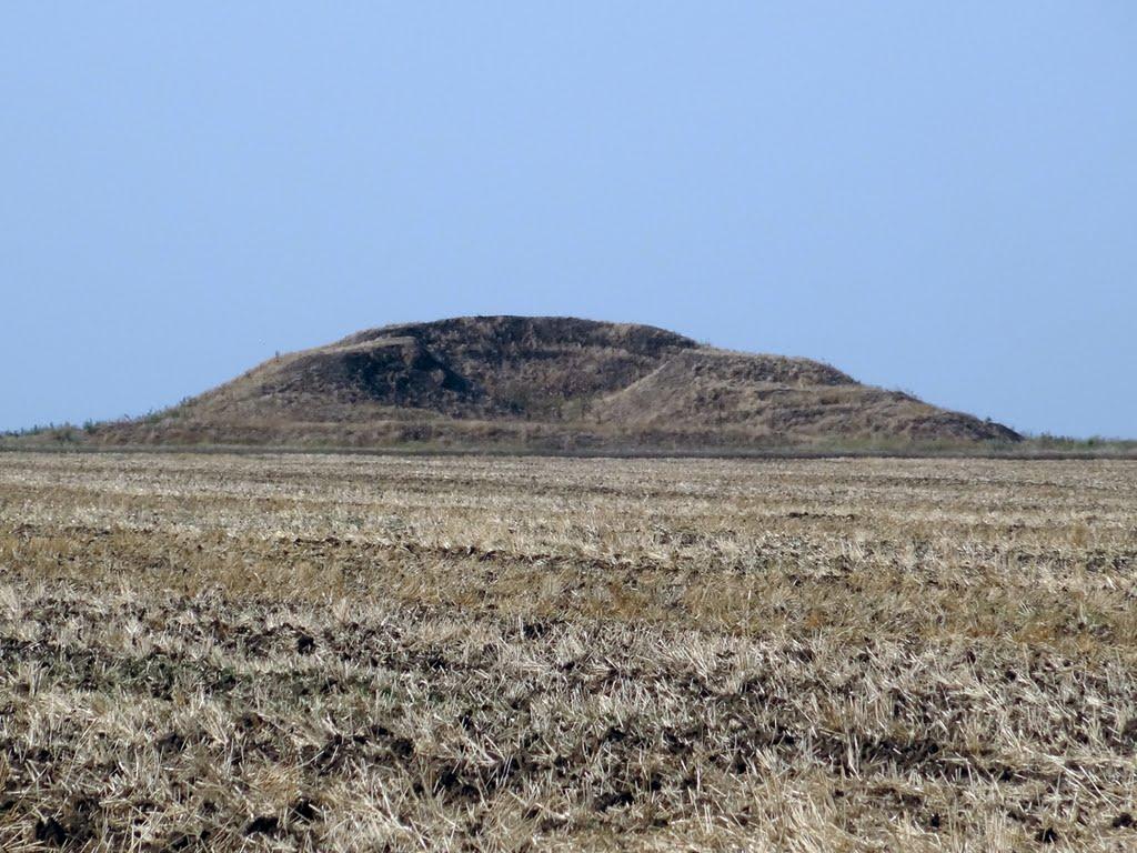 Верхній Рогачик з panoramio.com - Верхній Рогачик