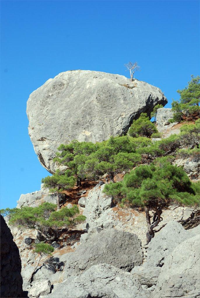Долина з panoramio.com - Долина