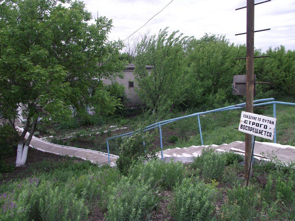 Новоорлівка з panoramio.com - Новоорловка