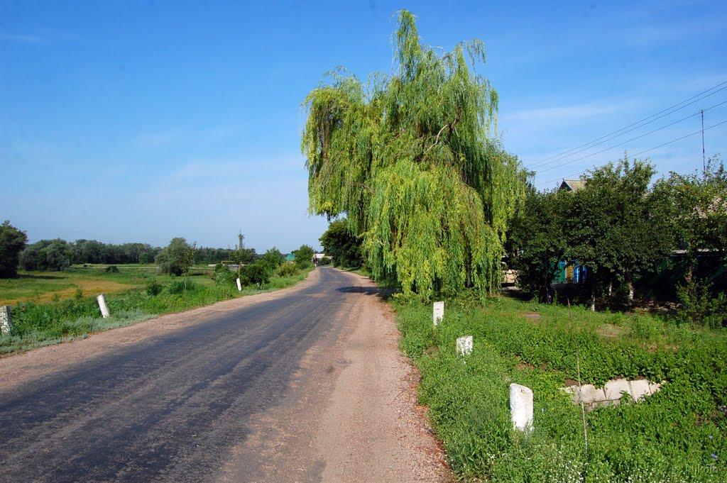 Кряківка з panoramio.com - Кряковка