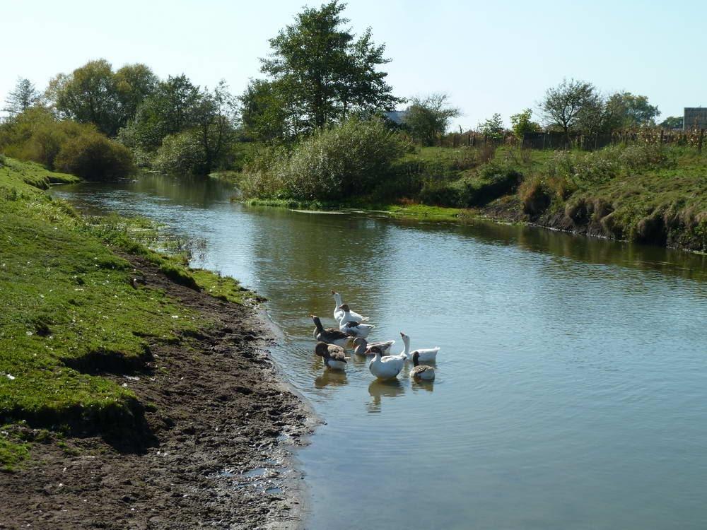 Семенівка з panoramio.com - Семенівка