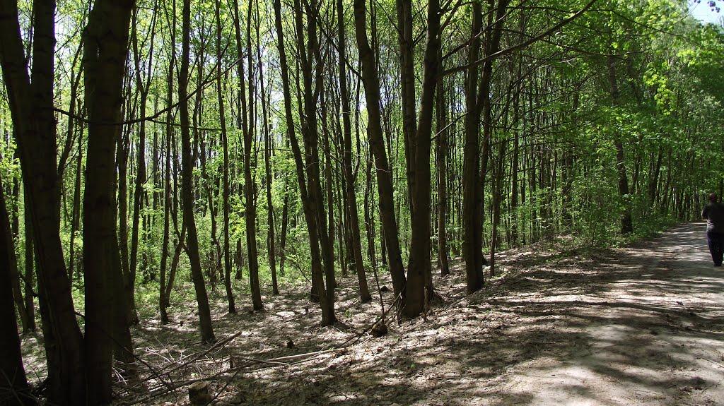 Юшки з panoramio.com - Юшки