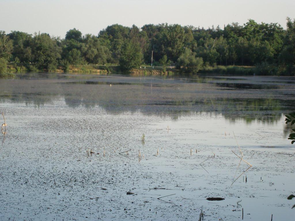 Мала Мочулка з panoramio.com - Мала Мочулка