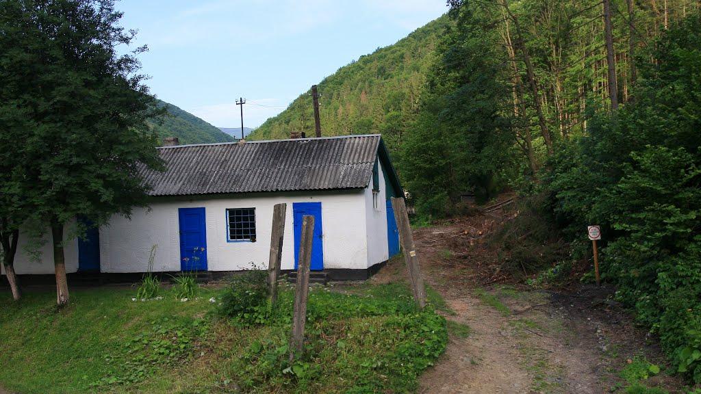 Вовчий з panoramio.com - Вовчий