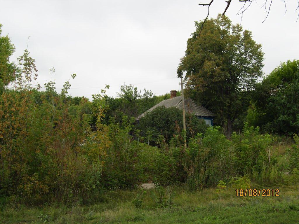 Першотравневе з panoramio.com - Першотравневе