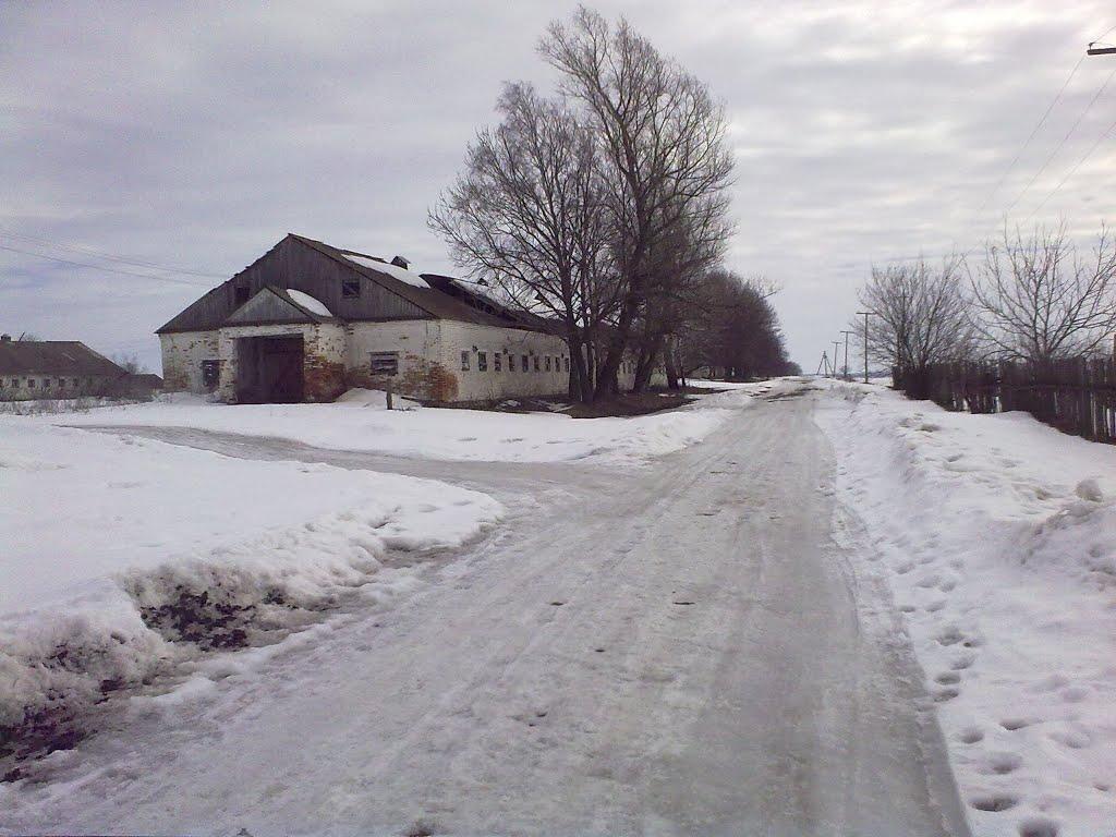 Черемошне з panoramio.com - Черемошне