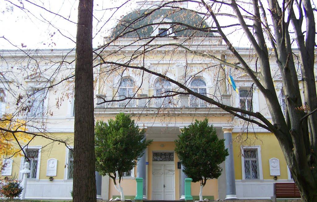 Великі Лази з panoramio.com - Великі Лази