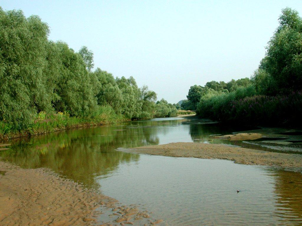 Ліпляве з panoramio.com - Лепляво