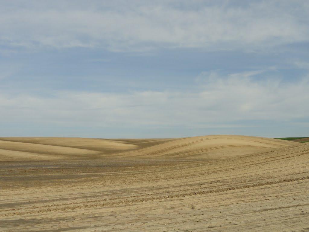 Буяни з panoramio.com - Буяни