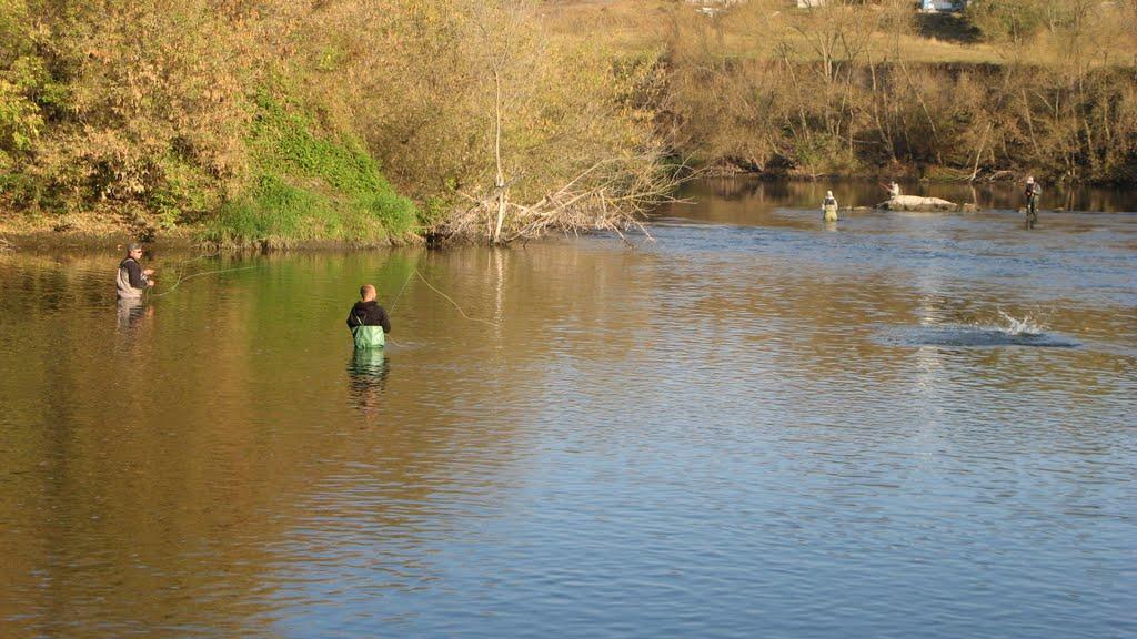 Люшнювате з panoramio.com - Люшнювате
