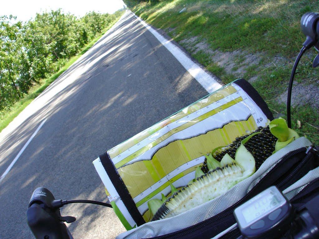 Устимівка з panoramio.com - Устимовка