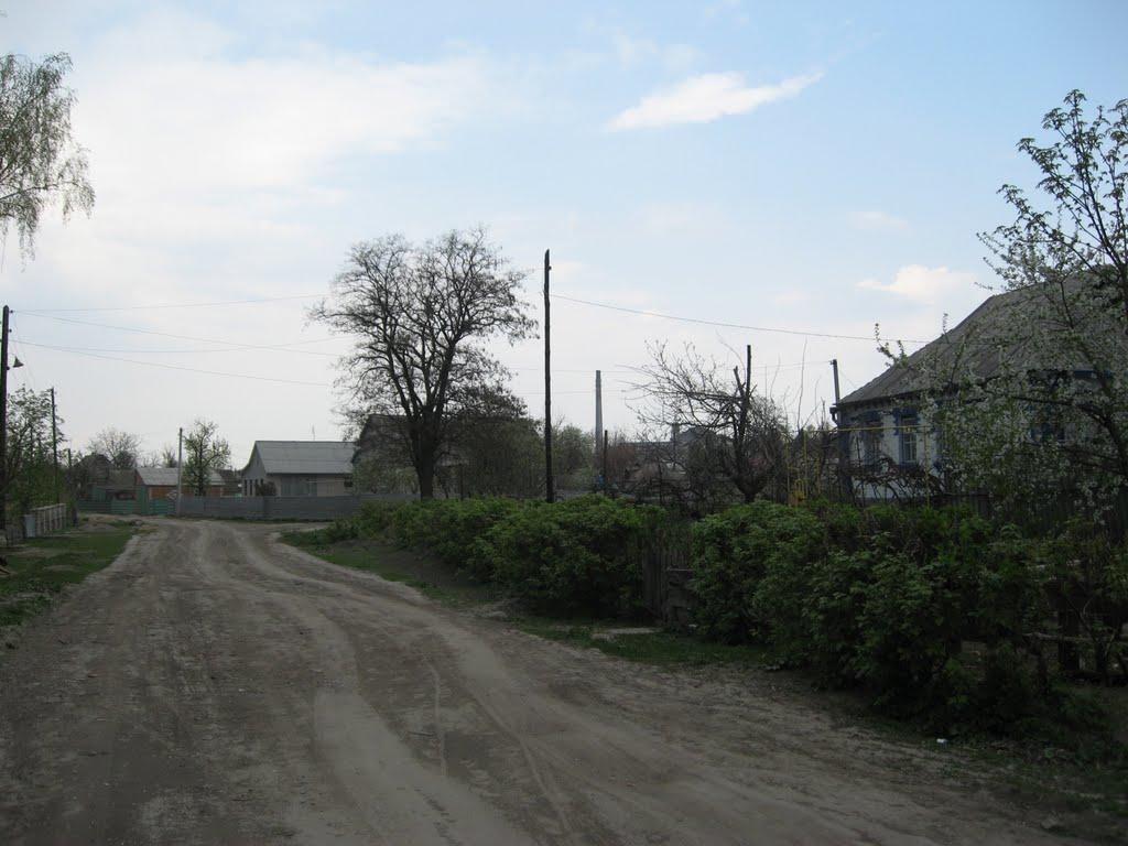 Погребище з panoramio.com - Pogrebische