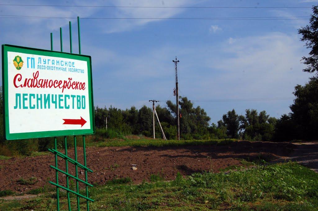 Кряківка з panoramio.com - Кряковка
