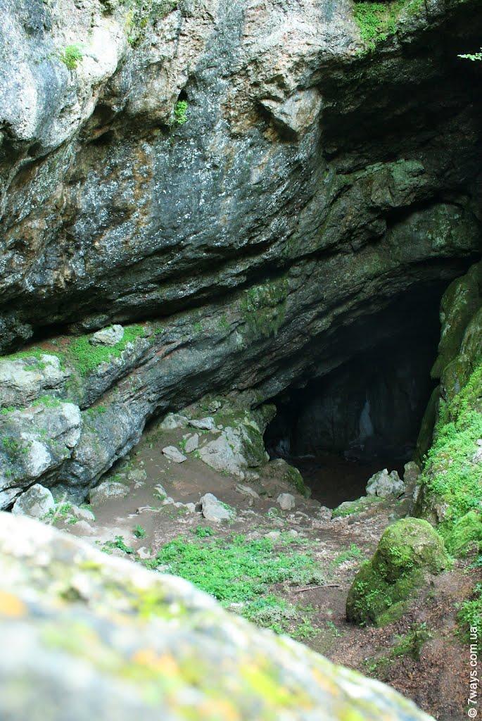 Пчолине з panoramio.com - Pcholyne