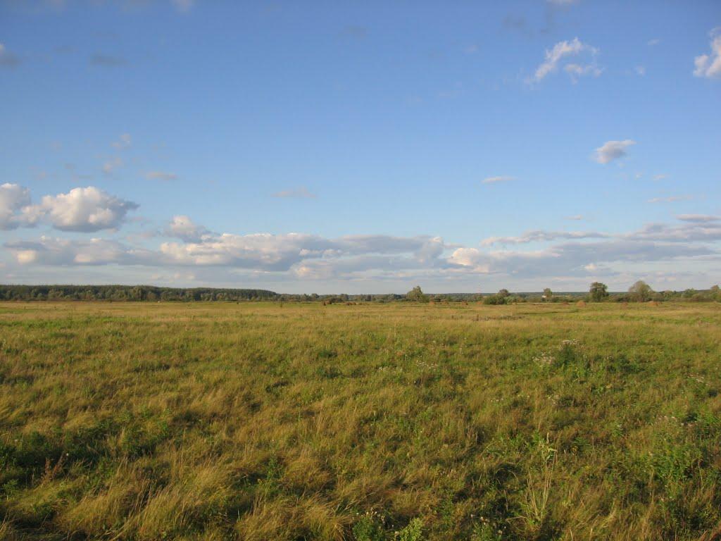 Макалевичі з panoramio.com - Макалевичі