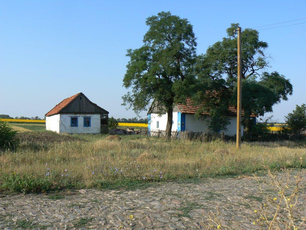 Світле з panoramio.com - Світле