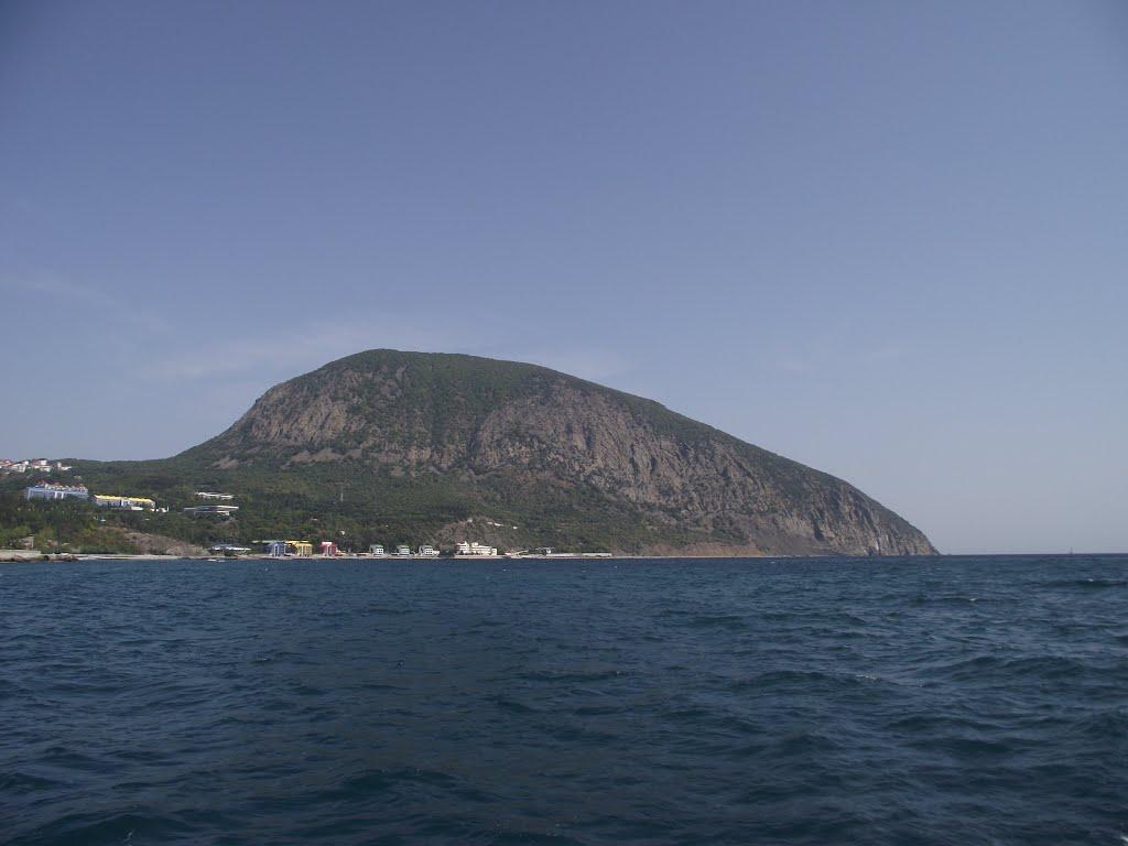 Підгородне з panoramio.com - Підгородне