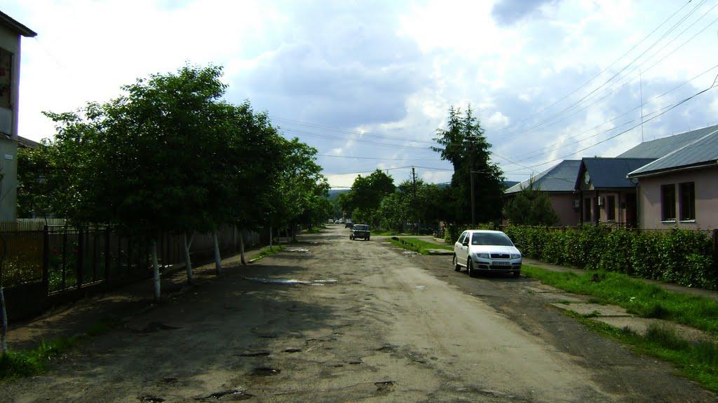 Іршава з panoramio.com - Иршава
