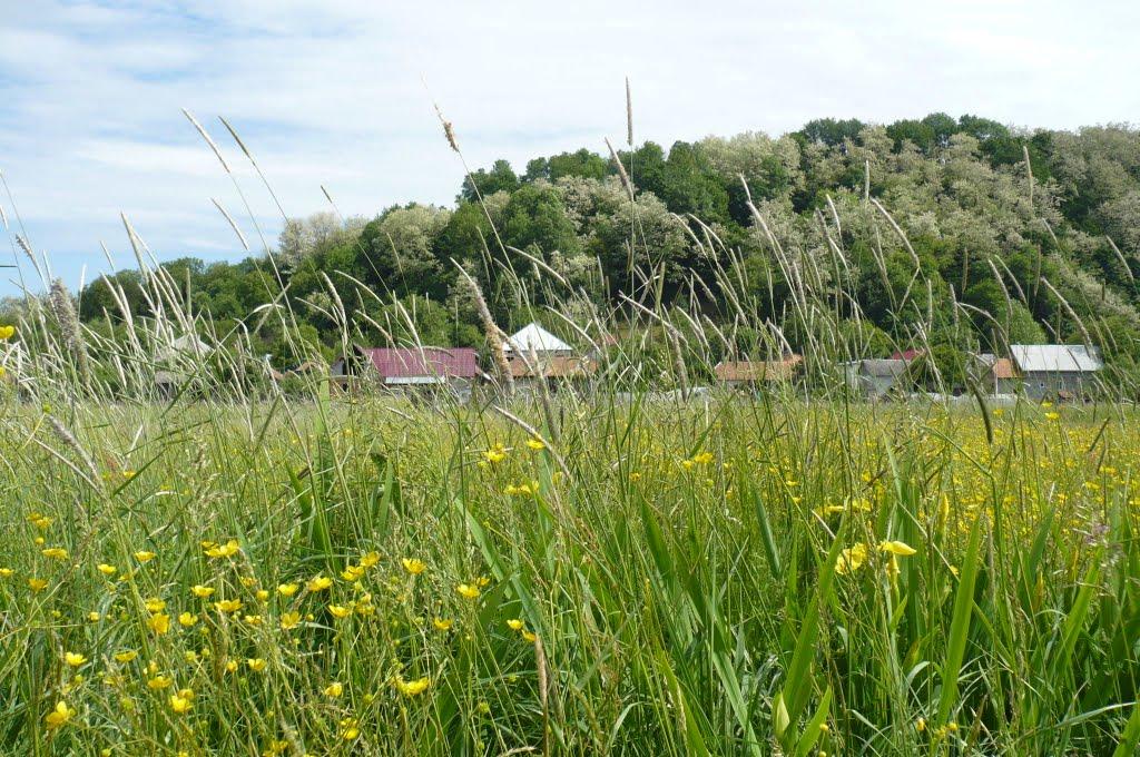 Іршава з panoramio.com - Иршава