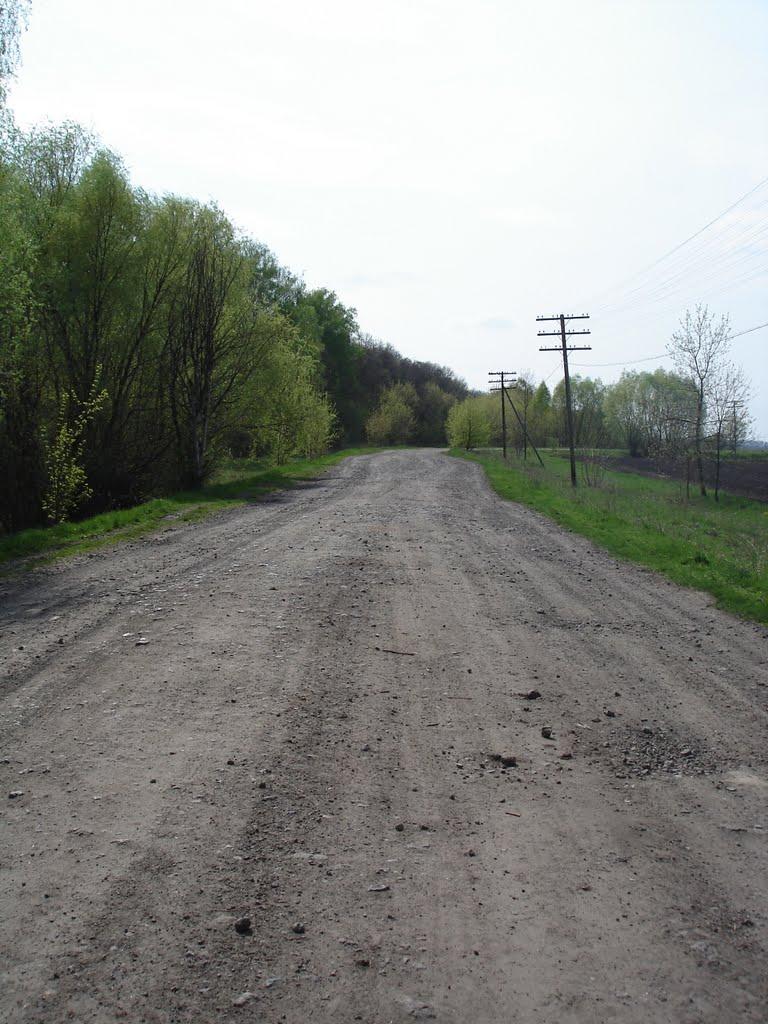 Червона Зірка з panoramio.com - Червона Зірка