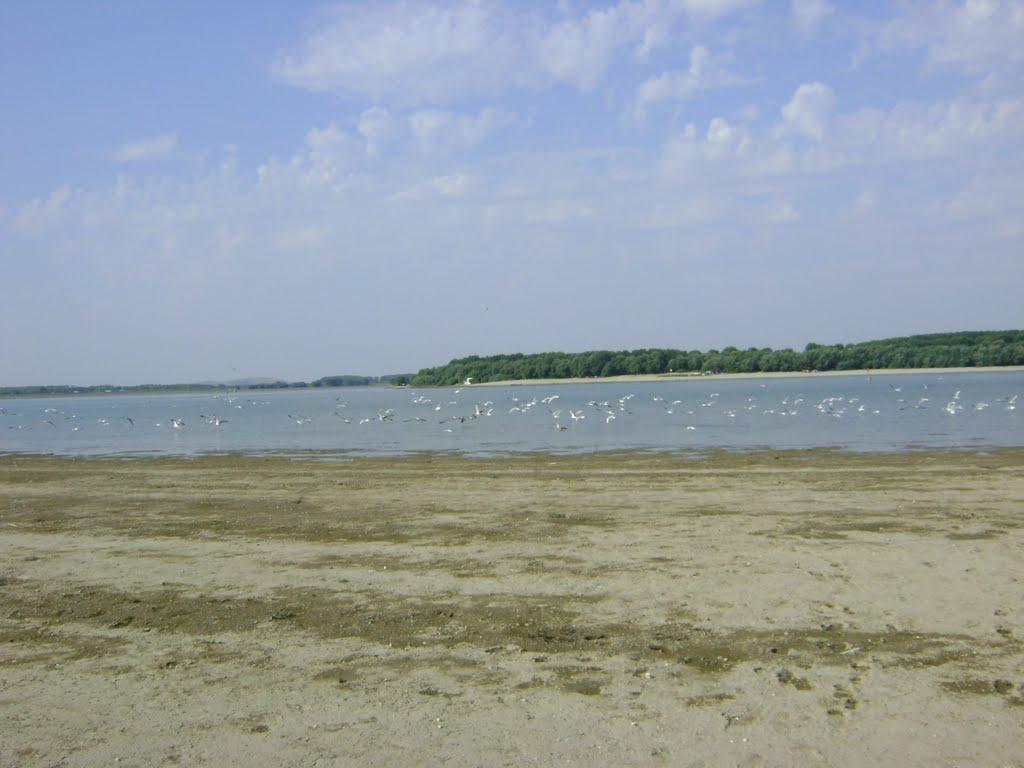 Рені з panoramio.com - Reni