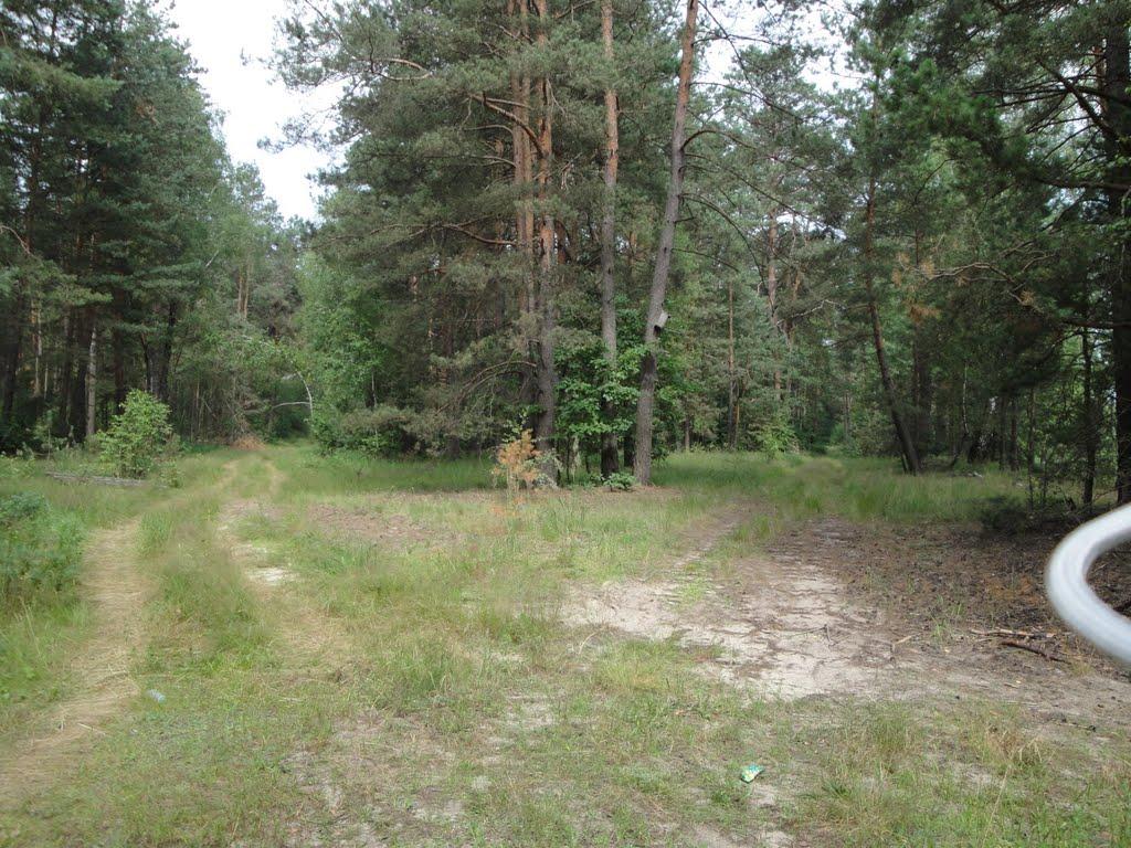 Скиток з panoramio.com - Скиток