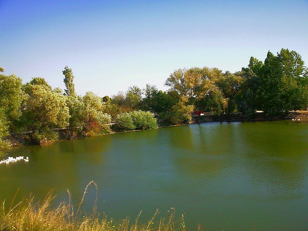 Холмівка з panoramio.com - Холмовка