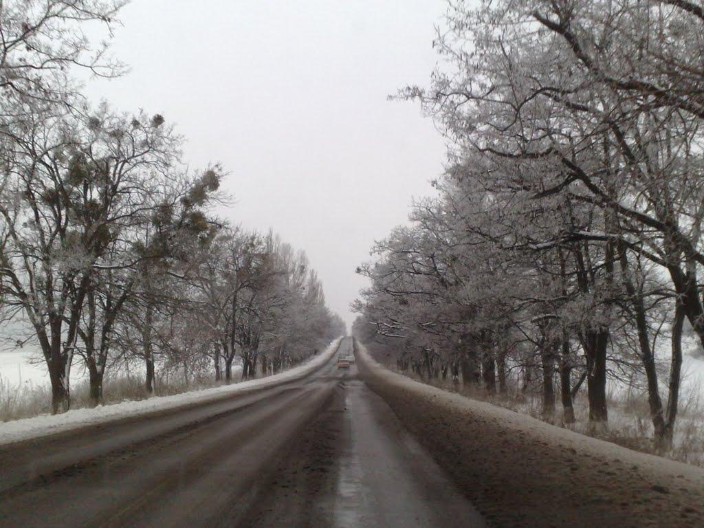 Богородичне з panoramio.com - Богородичное