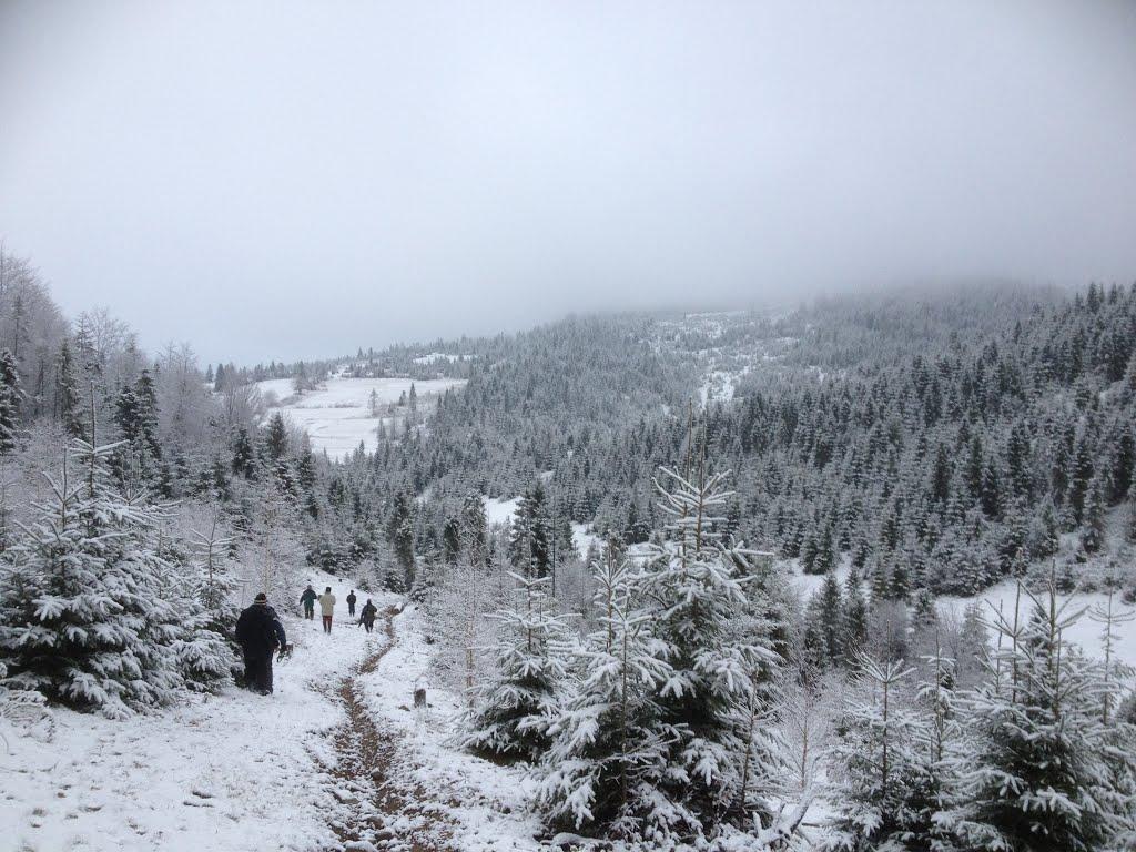 Либохора з panoramio.com - Либохора